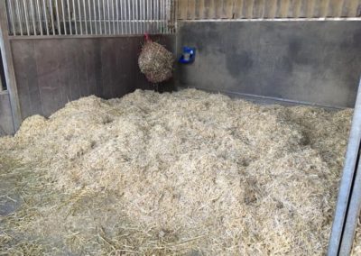 L'un des cinq boxes