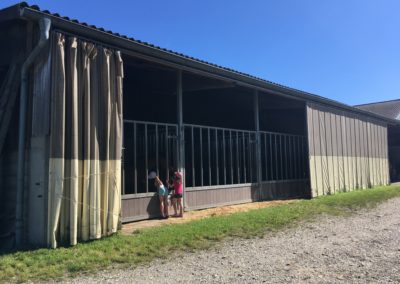 Les boxes des chevaux sont à température ambiante
