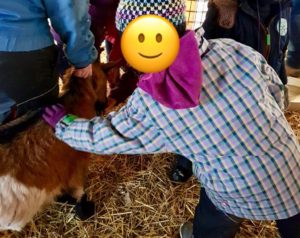Un enfant caresse Max la chèvre